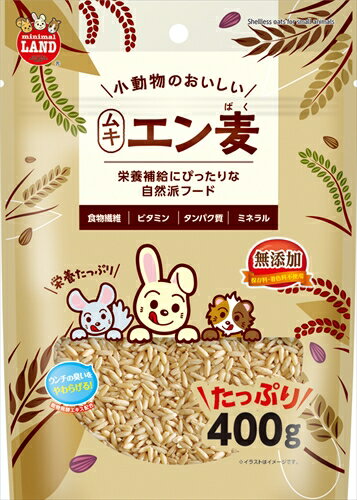 マルカン小動物のおいしいムキエン麦 400g P-4906456579779