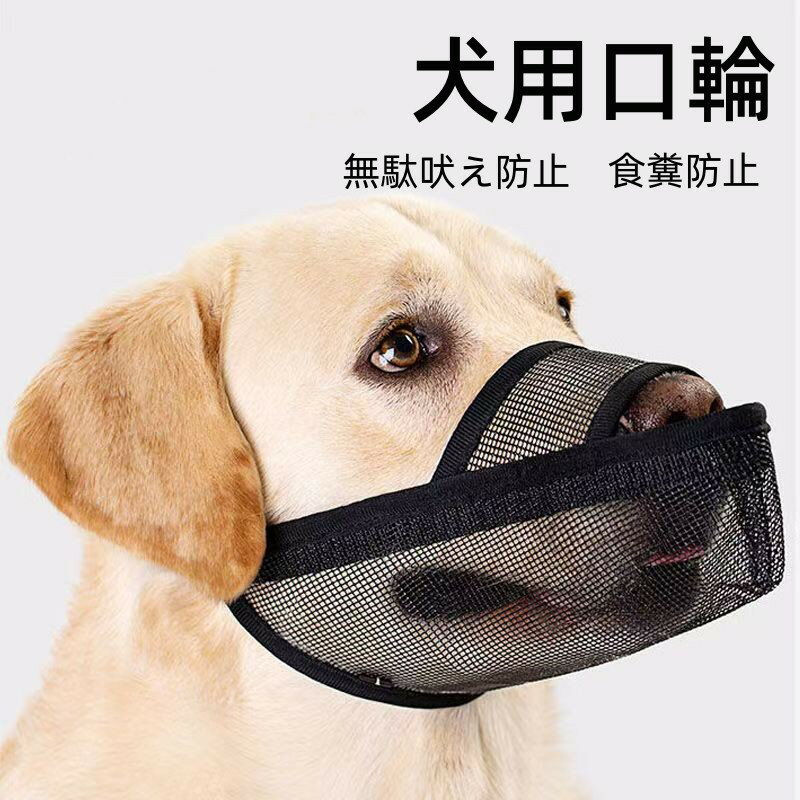  ߤĤɻ ʤɻ ɻ ѥޥŬڤ 緿 淿  ѥޥ ĤͿ뤳ȤǤޤ   
