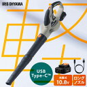 【Type-C充電&バッテリー共用できる】 ブロワー 充電式 洗車 小型 10.8V 強力 掃除 落ち葉 風量6段階 ブロアー ブロワ 電動 軽量 コードレス 庭 水滴 角度調節可能 アイリスオーヤマ JB54010TC *