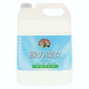 洗濯洗剤 緑の魔女 ランドリー 5L 洗剤 せんざい 洗濯 洗濯用洗剤 液体 洗剤 業務用 洗濯洗剤 衣類用 家庭用 【D】