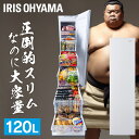 冷凍庫 家庭用 スリム 小型 120L ファン式 冷凍 省エネ 右開き 収納 冷凍食品 ストッカー コンパクト ストック 自動霜取り 製氷皿 氷 温度調整 急冷 サブ おしゃれ アイリスオーヤマ IUSN-S12A-W