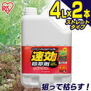 【2個セット】速効除草剤 4L SJS-4L 除草 除草剤 4l 4リットル 草むしり 草 秋 雑草 速効 庭 手入れ ガーデニング 雑草 液状 薄めない ストレートタイプ 根 草木 駐車場 工場 敷地 のり面 多年生 非農耕地 根こそぎ 徹底 スギナ 住宅 アイリスオーヤマ その1