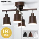 シーリングライト 送料無料 電球セット 照明 4灯 電球付き おしゃれ CE4LA-20S ライト 天井照明 LED リビング ダイニング かわいい シンプル 高配色 E26 60形相当 スポットライト 間接照明 照明器具 アイリスオーヤマ