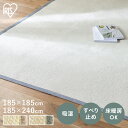 ラグ カーペット 夏 夏用 い草ラグ 185×185 185×240 2畳 3畳 おしゃれ 北欧 い草 い草調 パピエラグ ホットカーペットカバー 和室 畳 送料無料 絨毯 敷物 ペーパー パピエ 紙 和モダン 和風 通年 アイリスオーヤマ ORG-P