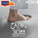 【TVで紹介されました!】ラグ マット 185×185 ラ・クッションラグ 接触冷感 ACR2C-1818 グレー ブルー ラグ マット 185×185 2畳用 接触冷感 極厚 撥水 はっ水 防音 すべり止め ひんやり 子供 ペット 夏 Simple Style アイリスオーヤマ 夏物