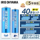 ★1000円ポッキリ★【選べるセット】 乾電池 単3 単4 送料無料 まとめ買い 防災 備蓄 単三 単四 電池 BIGCAPA basic 単3×40本or単4×40本or単3×20本＋単4×20本 5年保存 アルカリ 電池 乾電池 電池【代金引換不可 日時指定不可】 【メール便】