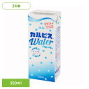 飲料 紙パック飲料 カルピス 「カルピスウォーター R」(LL) 紙パックスリム250ml ×24本 29128カルピス エルビー CALPIS 乳酸菌 酵母 発酵 自然製法 旅行 常温保存 紙パック エルビー