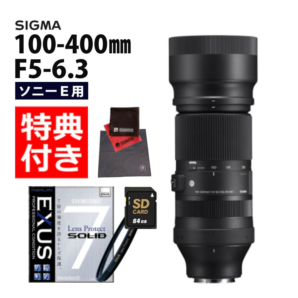 （レビューでレンズキャッププレゼント）【ケンコー高品質フィルターセット】シグマ 100-400mm F5-6.3 DG DN OS（C） ソニーEマウント..