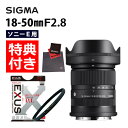 (レビューでレンズキャッププレゼント)【マルミ偏光フィルターセット】SIGMA シグマ 18-50mm F2.8 DC DN(C)ソニーEマウント用 ミラーレス APS-C対応 小型 軽量 大口径 標準ズーム(デジタルライフ)