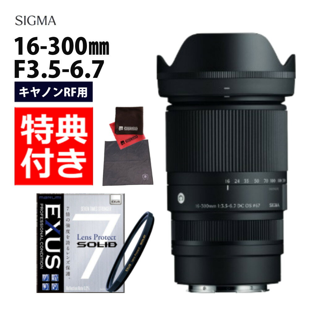 （レビューでレンズキャッププレゼント）【強化ガラス保護フィルターセット】シグマ 16-300mm F3.5-6.7..
