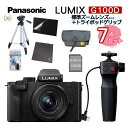 (OrEobO7_Zbg) Panasonic pi\jbN ~[XJ LUMIX DC-G100DV-K ~[XJ WY[YLbg{gC|bhObv ^ VlogBe 4K ȒP 5nCubgu␳ibsOsjifW^Ctj