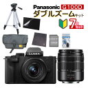 (OrEobO7_Zbg) Panasonic pi\jbN ~[XJ LUMIX DC-G100DW-K ~[XJ _uY[Lbg ^ VlogBe 4K ȒP 5nCubgu␳ibsOsjifW^Ctj