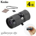 ケンコー 単眼鏡 4倍 ギャラリーEYE 4×12 ブラック ギャラリースコープ 小型 軽量 美術鑑賞 美術館 博物館 展覧会(デジタルライフ)