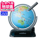レイメイ藤井 しゃべる国旗付地球儀 トイ(全回転・音声機能付)OYV403 球径 25cm 地球儀 しゃべる 子供用 プレゼント(デジタルライフ)