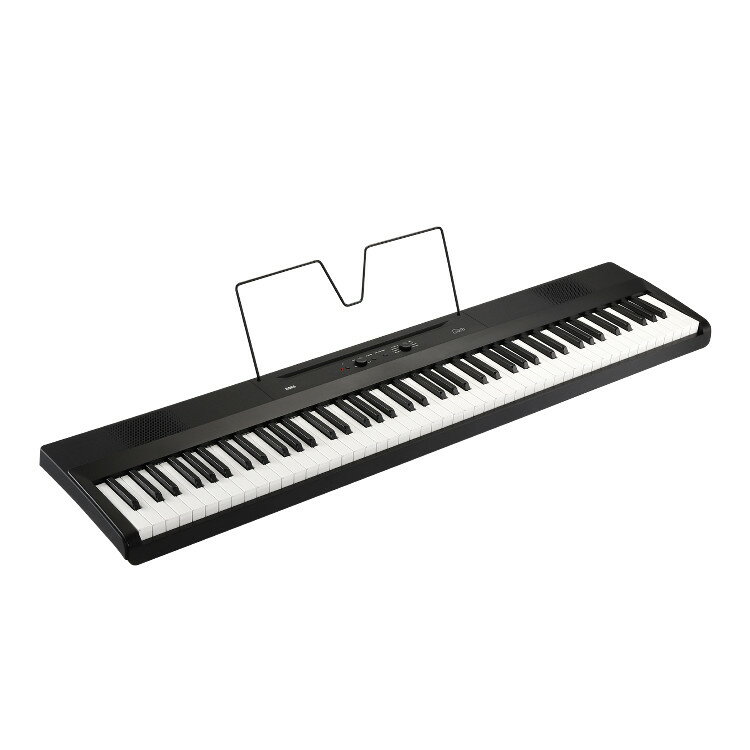 保証情報 等 ▼KORG 電子ピアノ L1SP Liano DIGITAL PIANO 88鍵 ブラック 【メーカー保証】1年間 【付属品】ACアダプター（KA390）、譜面立て、ペダル・スイッチ：PS-3、ピアノスタンド、取扱説明書（保証書付き） 厚み7cmのスリムな薄型軽量ボディ、88鍵のフルサイズ鍵盤を採用したデジタルピアノ ピアノがある生活をイメージしてみましょう。すぐそばにピアノがあるだけで毎日楽しい気分になれる。やっぱり音楽っていいな、ピアノっていいな。でも、うちに置くには大きいし重いしどうしよう。そんな迷いを吹き飛ばす軽量でスリムなピアノができました。音楽とピアノをもっと好きになる。そんな新しい日常をLianoで始めよう！ 【7cmの薄さを誇るスリムなデザイン】 88鍵のフルサイズ鍵盤を採用しながら130cmを切る横幅、スピーカーを搭載しながら約7cmという薄さを実現。ピアノとして大事な部分はしっかりと押さえつつスリムなデザインを両立しています。 【ダイヤルで簡単に選べる8音色】 主な操作はパネルを見るだけでわかります。ピアノ、エレキピアノ、オルガン、ストリングスを含む8つの音色もダイヤルを回して選ぶだけですぐに切り替わるシンプル操作。中でもピアノは近年の世界的なピアノ・コンクールでその美しい音色が高い評価を得ているイタリアン・ピアノを搭載。リバーブ、コーラスの2つのエフェクトでリッチな響きを聴かせます。 【バスレフ構造で実現した豊かな低音】 パネル面にスピーカーを配置することで演奏者に直接音を届けます。また背面に穴を設けたバスレフ構造となっており、薄くスマートな筐体では難しい「ダイナミックな低音」を実現しました。 【6kgの軽量ボディで気軽に持ち運び】 88鍵、スピーカー搭載で6kg（※単3形電池6本使用時は＋約200g）と、ピアノが1人で気軽に持ち運べる軽さになりました。「ピアノ＝部屋で楽しむもの」という既成概念を打ち破ることで、さまざまなシーンでの可能性が広がります。 【単3形電池6本で8時間連続動作】 スピーカー付きでありながら、軽量で手に入りやすい単3形アルカリ乾電池で約8時間動作可能。お庭でのパーティはもちろん、ステージやストリートでの演奏にも充分な動作時間を実現しています。 ※使用電池、使用状況により変動します。 【弾きやすいライトタッチ鍵盤】 Lianoのために新規開発したLS鍵盤を採用。コルグ・シンセサイザーのフラッグシップモデルKRONOS LSに採用されたLS鍵盤のフィールはそのままに一層軽量化を進めました。軽いだけではなく、心地よい打弦感を実現したLianoだけの新鍵盤です。 ピアノを気軽に始めたい方、ピアノの重い鍵盤は苦手という方に特におすすめです。 【USB端子を装備】 PCと接続してDAWによる楽曲制作のマスター・キーボードとして利用したり、ピアノ音源アプリを使ってみたり、単体で使用する以外の拡張性も持ち合わせています。 ※PCとの接続にはUSBケーブル（別売）、iPhone、iPadとの接続にはUSBケーブル＋Lightning-USBカメラアダプタ、またはUSB B to Cケーブル（共に別売）が必要です。 【便利なバンドル・ソフト】 Lianoはキーボード演奏の上達に役立つ「Skoove」やピアノ・キーボード音源アプリ「KORG Module」、そしてDAW音楽制作アプリ「KORG Gadget 2 Le」、制作した楽曲を世界中で販売できる「TuneCore」といった、あなたの音楽をレベルアップさせるソフトウェアを付属しています。 【ペダル、譜面立て、専用スタンド付属】 Lianoにはペダル、譜面立て、専用スタンドを標準装備。買ったその日から演奏を楽しむことができます。 【弾く楽しさをもっと身近に】 高級ピアノをフォーマルな衣装、とっておきのスーツやドレスに例えるとしたら、LianoはカジュアルにいつものTシャツやトレーナーにデニム。ピアノももっと自由なスタイルで楽しめば良いのではないか。スリムな薄型軽量ボディに明るいイタリアン・ピアノを搭載したLianoは、そんなシーンをイメージしたコルグからの新しいスタイルの提案です。 【Liano 仕様表】 カラー ブラック（BK） 鍵盤 LS鍵盤：88鍵（A0～C8） タッチ・コントロール 3種類 ピッチ トランスポーズ、ピッチ 音律 平均律 音源 ステレオPCM音源 同時発音数 120 ※音色によって最大同時発音数は異なります 音色数 8音色 エフェクト リバーブ、コーラス デモ・ソング 8曲（音色デモ・ソング） メトロノーム テンポ、拍子、音量 ペダル ダンパー 接続端子 PHONES/LINE OUT兼用端子、USB端子（Type-B）、DAMPER端子 コントロール 電源、VOLUME、REVERB、METRONOME、音色ノブ スピーカー 8cm×2 アンプ出力 8W×2 電源 ACアダプター（DC 12V） 単3形アルカリ乾電池6本、またはニッケル水素乾電池6本（別売） 電池寿命 約8時間（単3形アルカリ乾電池6本） ※使用電池、使用状況により変動します 消費電力 5W 外形寸法 幅1,282×奥行290×高さ73mm 幅1,282×奥行457×高さ781mm（スタンド含む） ※突起物含む、譜面立て含まず 質量 6.0kg 8.4kg（スタンド含む） ※電池、譜面立て含まず メーカー保証 1年間（※保証書は取扱説明書裏面にございます。） 付属品 ACアダプター（KA390）、譜面立て、ペダル・スイッチ：PS-3、ピアノスタンド、取扱説明書（保証書付き） ※すべての製品名または規格名は関係各社の商標または登録商標です。 ※製品の外観および仕様は改良のため予告なく変更する場合があります。 ※製品の色調は実際の色と多少異なる場合があります。