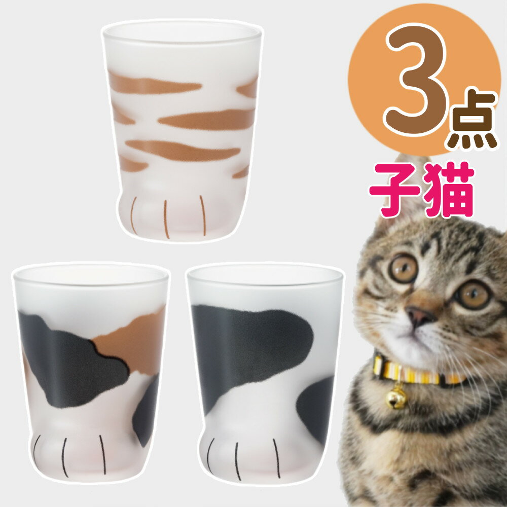 ここねこ 子猫 グラス 3点セット アデリア coconeco 猫グラス こねこ ミケ トラ ブチ 230ml 猫グッズ ネコ ねこ 猫足 肉球 可愛い かわいい ご褒美 タンブラー コップ ギフト プレゼント 食洗機不可 (ラッピング不可)(熨斗対応不可)(デジタルライフ)