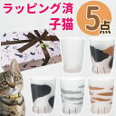 (猫柄ラッピング済) ここねこ 子猫 グラス 5点 ギフトセット アデリア coconeco 猫グラス こねこ ミケ トラ ブチ ムジ サバトラ 230ml 猫...