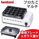 プロたこマルチ \レビュープレゼントあり/ プレート付き イワタニ カセットガス たこ焼き器 レシピ付き CB-ETK-2-PSET たこやき プレート たこ焼...