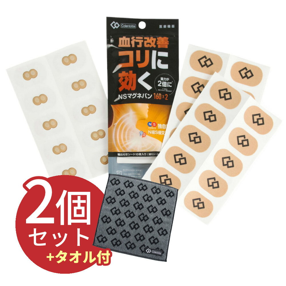 【2個まとめ買い】 コラントッテ 磁気シート NS マグネバン 160×2 (磁石付きシート10枚＋替えシート20枚)（メール便可：1点まで）（ラッピング不可）（デジタルライフ）
