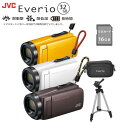 JVC ビデオカメラ エブリオ GZ-F270 ビクター 【...