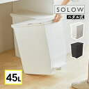 【レビューでコーヒープレゼント】 ゴミ箱 リス RISU SOLOW ソロウ ペダルオープンツイン 45L (ホワイト 177463/ブラック 177470) ダストボックス ふた付き キャスター付き 両開き 抗菌 防汚 45リットル ペダル式 袋止め コンパクト(ラッピング不可)(デジタルライフ)