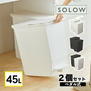 【レビューでコーヒープレゼント】【分別に便利 2個セット】ゴミ箱 リス RISU SOLOW ソロウ ペダルオープンツイン 45L (ホワイト 177463/ブラック 177470/ホワイト&ブラック) ダストボックス ふた付き キャスター付き 両開き 抗菌 防汚(ラッピング不可)(デジタルライフ)