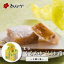 ゆべし 家伝くるみゆべし（ゆず）5個入袋 ／ かんのや 通販 和菓子 わがし お菓子 おかし 柚餅子 ゆべし 胡桃 くるみ 餅 もち 伝統 老舗 定番 手土産 お土産 おみやげ 人気 高級 ギフト 贈答 贈り物 東北 みちのく 福島 ふくしま