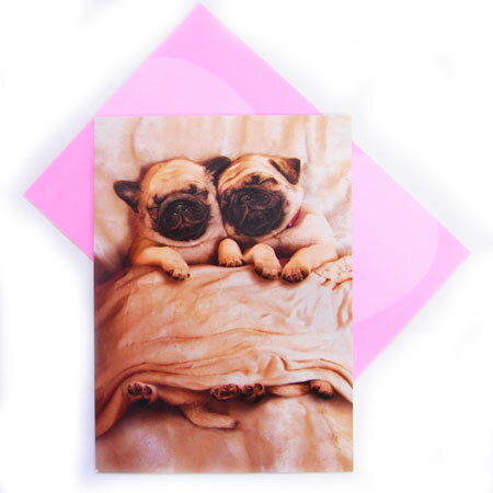 701754Х󥿥󥫡ɡѥѥԡ[AVANTI]åեȥɡ꡼ƥ󥰡