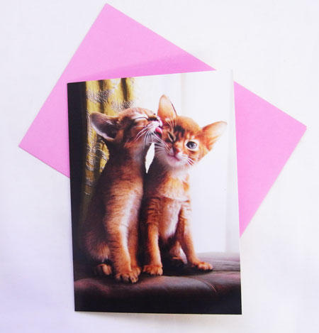 701768バレンタインカード　仲良し子猫　kisses!　ネコメッセージ・ギフトカード・グリーティング・猫