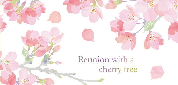 廃番在庫限り 一筆箋 さくら桜・サクラ・さくらFRONTIA フロンティア 一言便箋