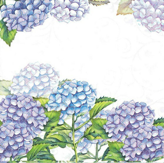 ペーパーナプキン ランチサイズ10枚入り　紫あじさい　 Hortensia アンビエンテ アジサイ・紫陽花・フラワー・花束・春