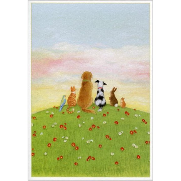 ペットお悔みカード　丘の上　犬　ネコ　鳥　ウサギCaspari　Janine Mooreグリーティングカード・ねこ・猫・CAT・DOG・いぬ