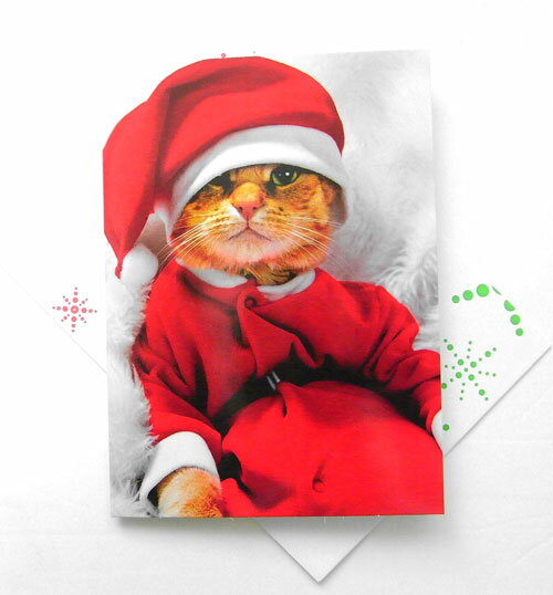 ꥹޥL󥿥ĥå[AVANTI]ͤåեȥɡ꡼ƥ