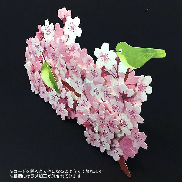 楽天市場 P4015 立体カード 多目的さくらカード 桜とうぐいす Sanrio サンリオ カード グリーティングカード さくら ｋａｄｅｒｉａ