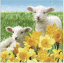 1ڡѡʥץ  Cute lambs [Paper+Design]ڡѡǥʥץ ǥѡ