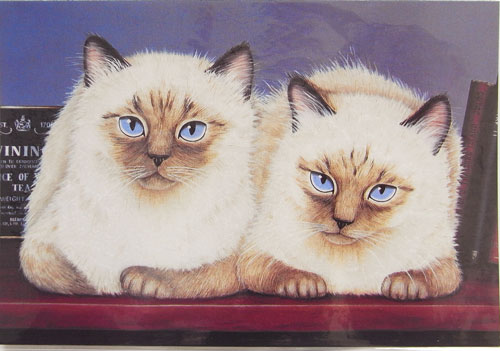 ポストカード アイボリーキャッツ 双子のシャム Lesley Anne Ivory グリーティングカード 猫 ネコ ねこ Cat キャット