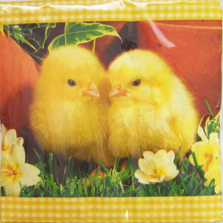 C-185 ペーパーナプキン[メール便OK]ランチサイズ ひよこ兄弟 3枚入り[Paper+Design]ヒヨコ・イースター・紙ナプキン・デコパージュ