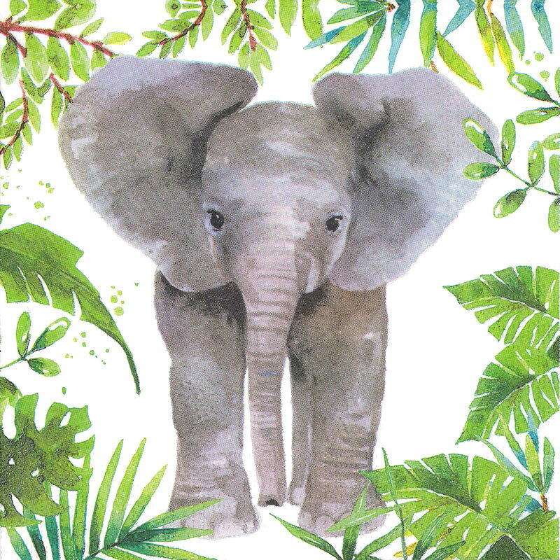 樂天商城 - ペーパーナプキン[メール便OK]10枚入り　トロピカルエレファント Tropical Elephant　PPD[Paper Products Design]ドイツ製デコパージュ・ゾウ・ぞう・象