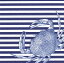 10枚ペーパーナプキン カニストライプブルー Crabs And Stripes Blue夏 海 蟹 カニCaspari カスパリ
