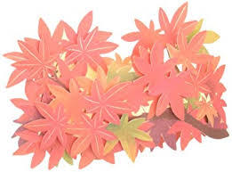 秋カード　ポップアップ 　モミジの枝[Sanrio]サンリオ季節のカード　立てて飾れるカード　立体カード　紅葉　もみじ