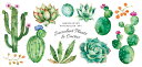 一筆箋 サキュレント 多肉植物 サボテンFRONTIA フロンティア 一言便箋
