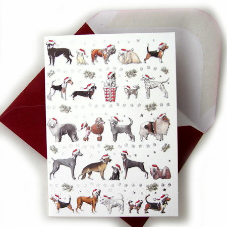 ꥹޥߥ˥ɡꥹޥɥå[QUIRE]ꥹޥեȥ