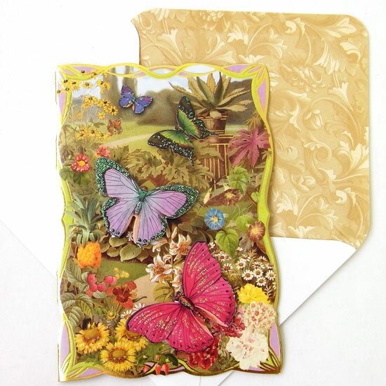 [Punch Studio]꡼ƥ󥰥ɡѥꥸ󥬡ɡǥդ ѥåեȥɡҸܥ