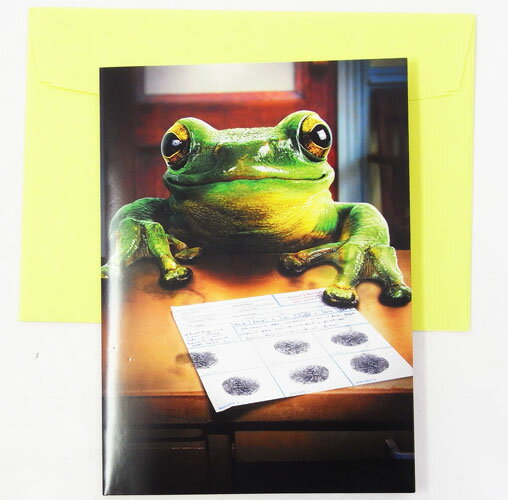 СǡLλ[AVANTI]åեȥɡ꡼ƥ󥰡