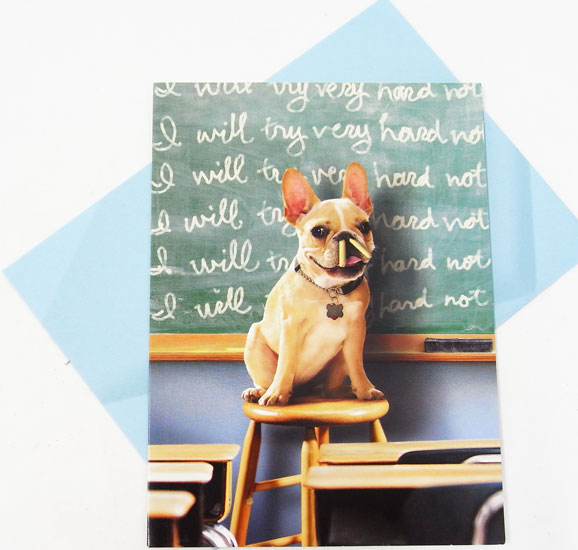 ´ȽˤLե֥ɥå[AVANTI] 701008åեȥɡ꡼ƥ