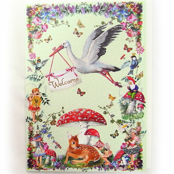 СǡLΥȥꡡ[Roger la Borde]åեȥɡBIRDĻȤꡦлˤ