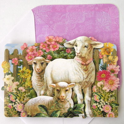 [Punch Studio]¿Ū꡼ƥ󥰥ɡסդ ѥ쥯åեȥɤҤĤҥĥ