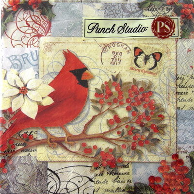 [Punch Studio]ڡѡʥץ[᡼OK]ƥ륵Cardinal Postcard2ѥ2010ꥹޥ