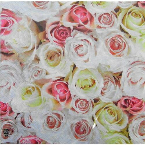 C-430��3�硡�ڡ��ѡ��ʥץ��� �ѥ��ƥ���������å�[paper+design]�ڡ��ѡ��ץ饹�ǥ����󡦥ǥ��ѡ����塦��ʥץ��󡦲֡��鯡��Х顦�Ф�