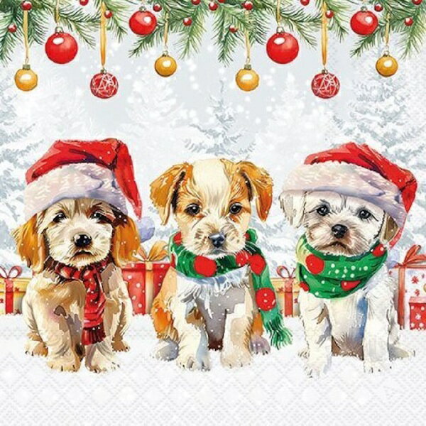 KADERIA㤨֥ڡѡʥץ 3ɤβİҸ Funny cute puppies Ambiente  ޥե顼 ɥåפβǤʤ275ߤˤʤޤ